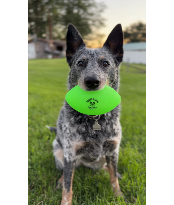 Spunky Pup - Squeak & Glow Football, Glow-in-the-Dark Floating Dog Fetch Toy, Squeaky Textured Football