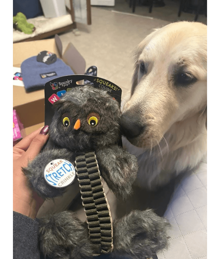 Spunky Pup - Wibbleez Outdoors Owl, Stretch & Squeak Plush Dog Toy