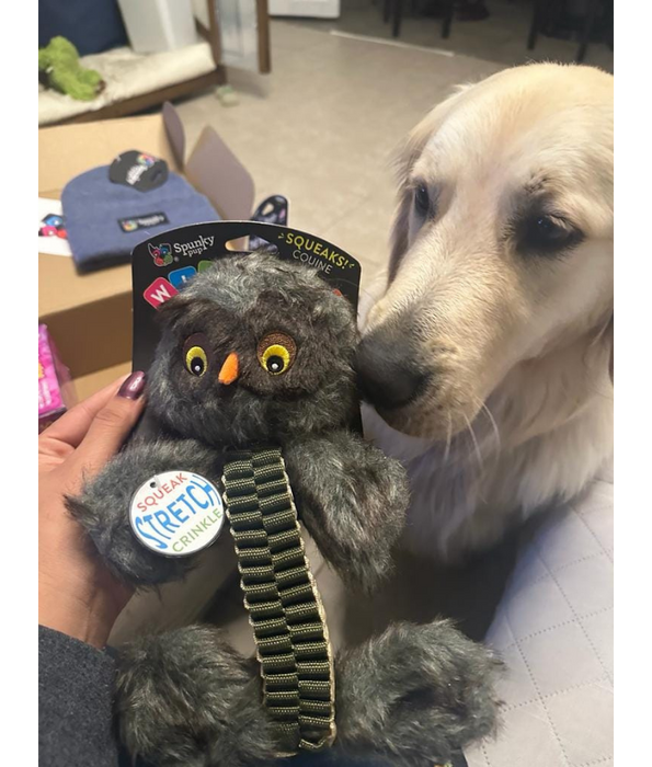 Spunky Pup - Wibbleez Outdoors Owl, Stretch & Squeak Plush Dog Toy