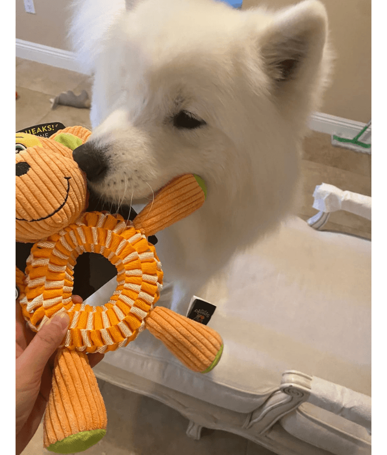 Spunky Pup - Wibbleez Round Monkey, Stretch & Squeak Plush Dog Toy