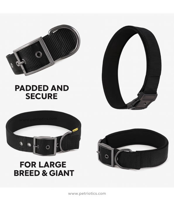 Animate - Walking Soft Padded Nylon Dog Collar – Black (XS, M, L)
