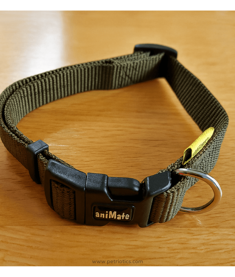 Animate - Walkingmate – Heavy Duty Nylon Dog Collar – Olive Green (S, M)
