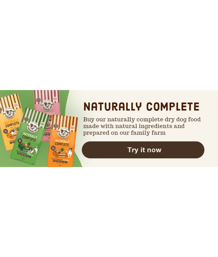 Laughing Dog - Naturally Complete Chicken, Grain-Free, Immune Support, Adult Dry Dog Food For All Breeds - 2kg, 10kg