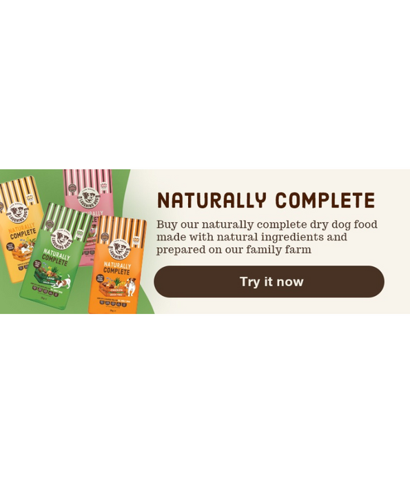 Laughing Dog - Naturally Complete Salmon, Grain-Free, Adult Dry Dog Food For All Breed Sizes - 2kg, 10kg
