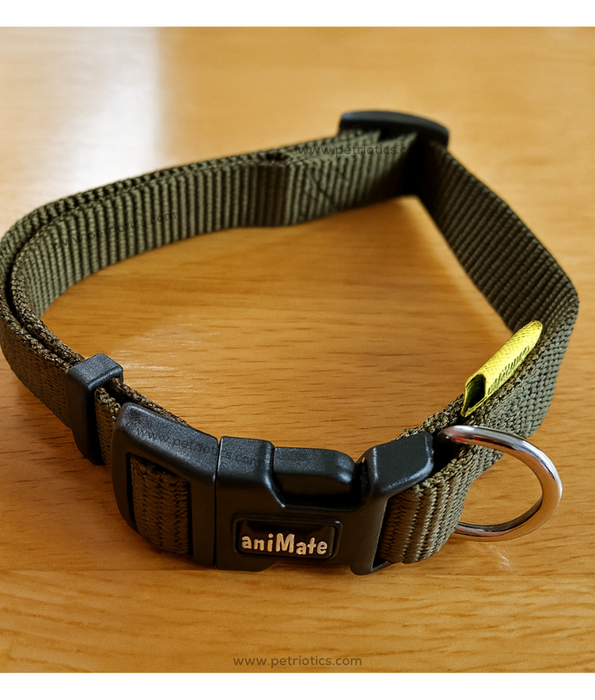 Animate - Walkingmate – Heavy Duty Nylon Dog Collar – Olive Green (S, M)