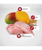 Ingredients for high protein cat food: chicken, spelt, oats, tropical fruits for optimal nutrition.