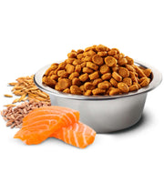 Dry dog food for mini breeds with salmon, spelt, oats, and tropical fruits in a bowl.