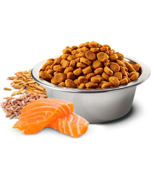 Dry dog food for mini breeds with salmon, spelt, oats, and tropical fruits in a bowl.