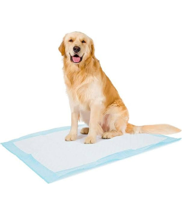 Duvo - P-Pad Standard Puppy Training Pads, Odor Control & Quick-Dry Surface, For Dogs - XXL 60x90cm - 30 Pads