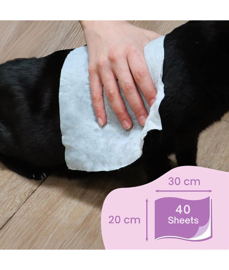 Camon - Salviette Cleansing Pet Wipes - Excel Scent Wipes - 40 Sheets