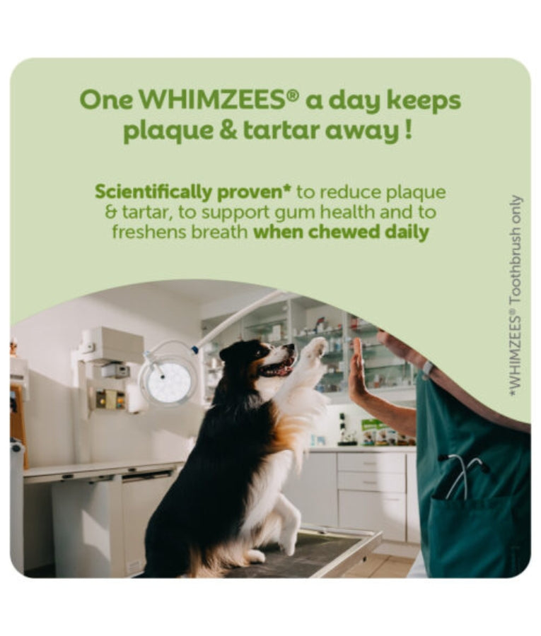 Whimzees - Hedgehog Dental Chew, Grain-Free, Adult, Large Breed, Dog Treats - 360g