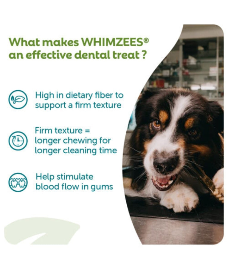 Whimzees - Hedgehog Dental Chew, Grain-Free, Adult, Large Breed, Dog Treats - 360g