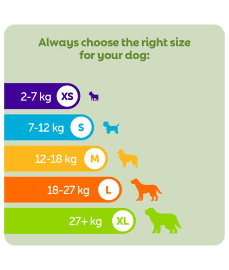 Whimzees - Hedgehog Dental Chew, Grain-Free, Adult, Large Breed, Dog Treats - 360g