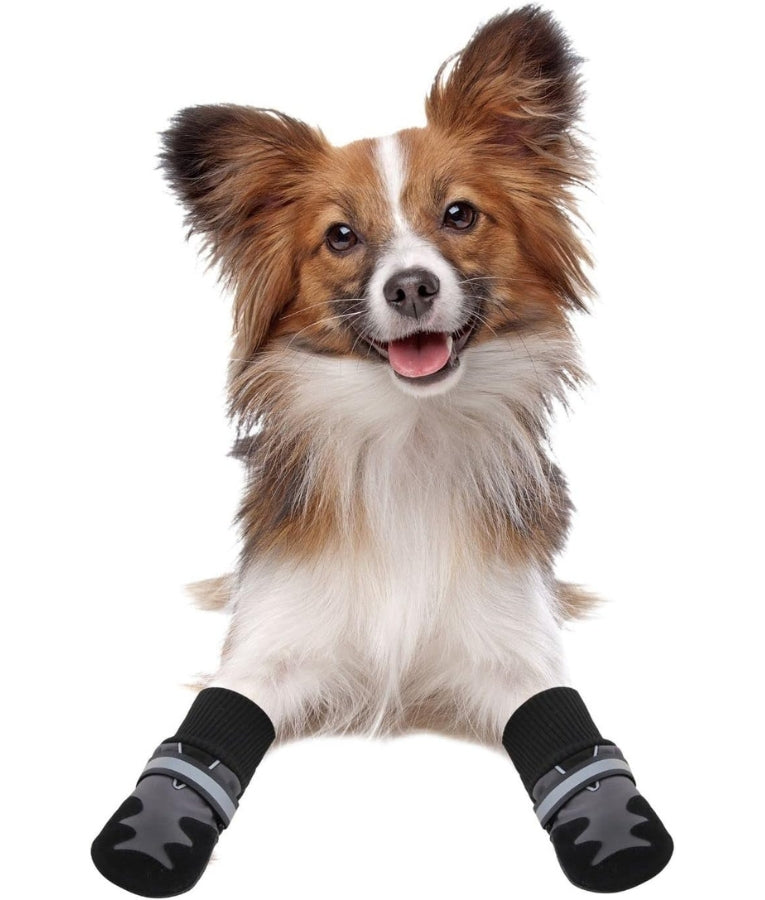 Pawise - Dog Protection Shoes, Softshell Outdoor Boots with Reflective Strap - XS-S-M-L-XL