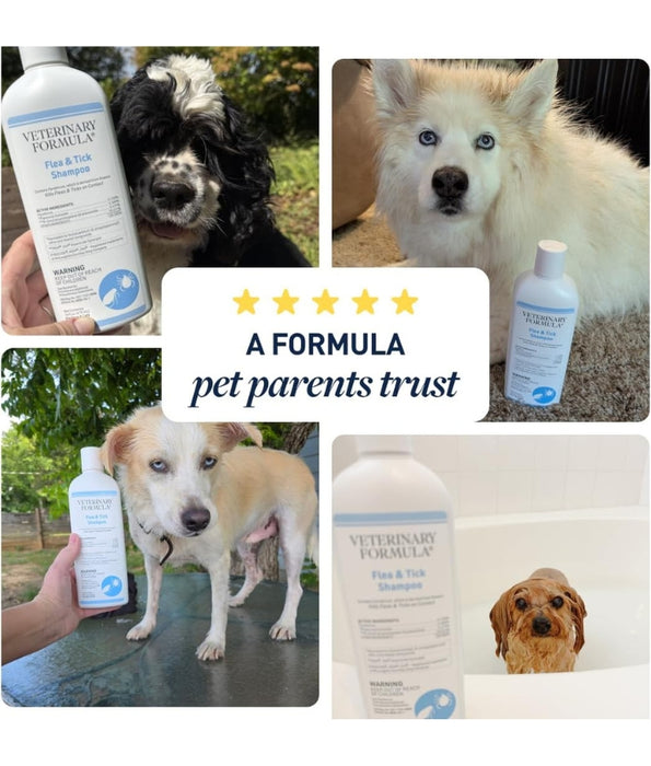 Synergy Labs - Veterinary Formula, Clinical Care, Flea & Tick Shampoo With Pyrethrum, Citrus Scent, For Dogs & Cats - 473 ml