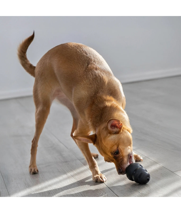 Kong - Extreme Dog Toy, Ultra-Durable Black Natural Rubber, For Dogs - S-XXL (7.6-15.2cm)