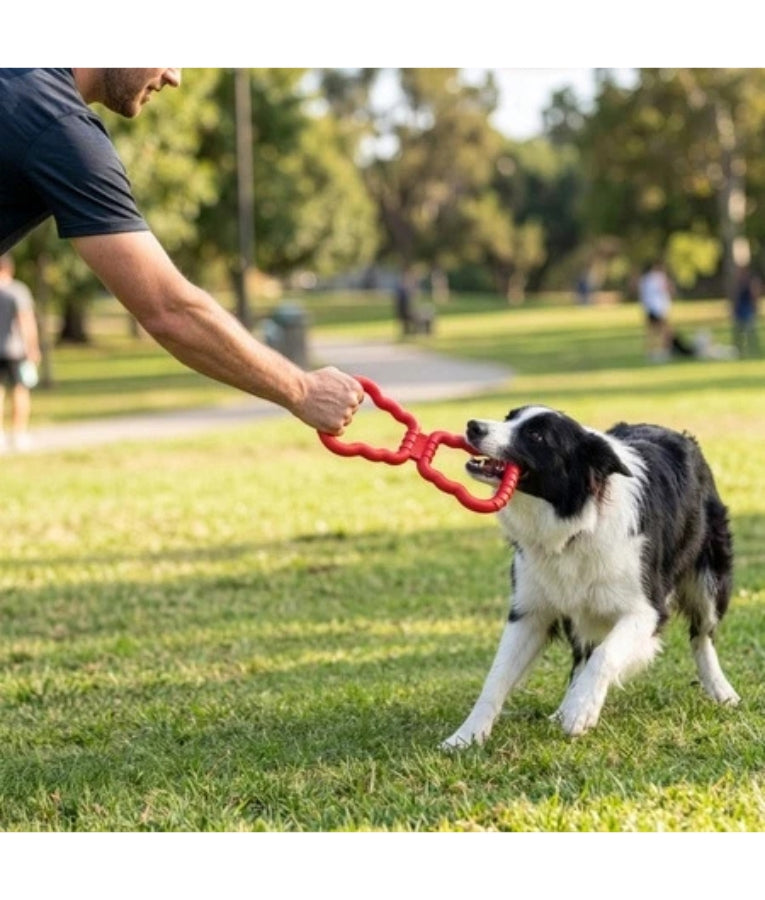 Kong - Tug Toy, Natural Rubber, For Dogs - 32.3x12cm