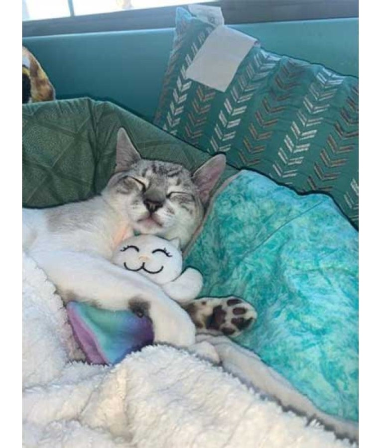 Kong - Crackles Caticorn, Catnip-Filled Plush With Crackle Sound, For Cats - 17x14x3cm