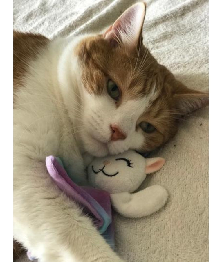 Kong - Crackles Caticorn, Catnip-Filled Plush With Crackle Sound, For Cats - 17x14x3cm