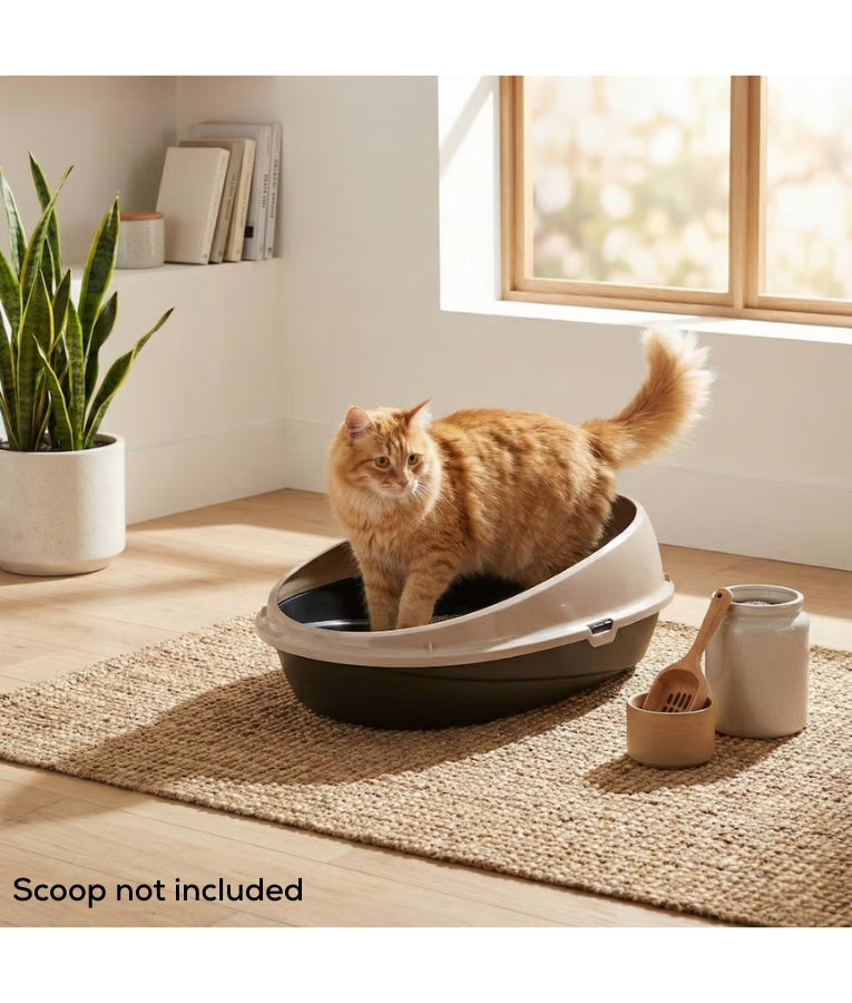 Bergamo - Pin Up Cat Litter Box, High-Rim Open Tray in Mocaccino, For Cats - 59 × 39.5 × 24 cm