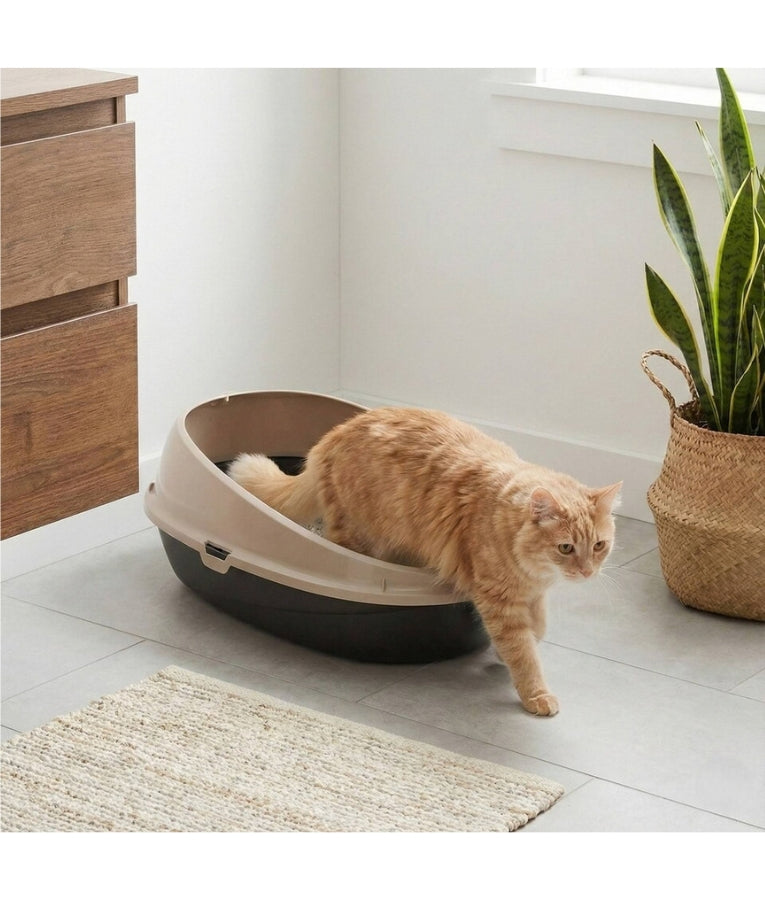 Bergamo - Pin Up Cat Litter Box, High-Rim Open Tray in Mocaccino, For Cats - 59 × 39.5 × 24 cm