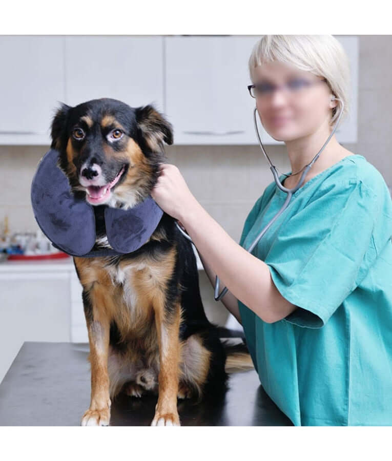 Pawise - Inflatable Protective Collar, Soft Plush Adjustable Recovery Collar, For Dogs & Cats - S, M, L