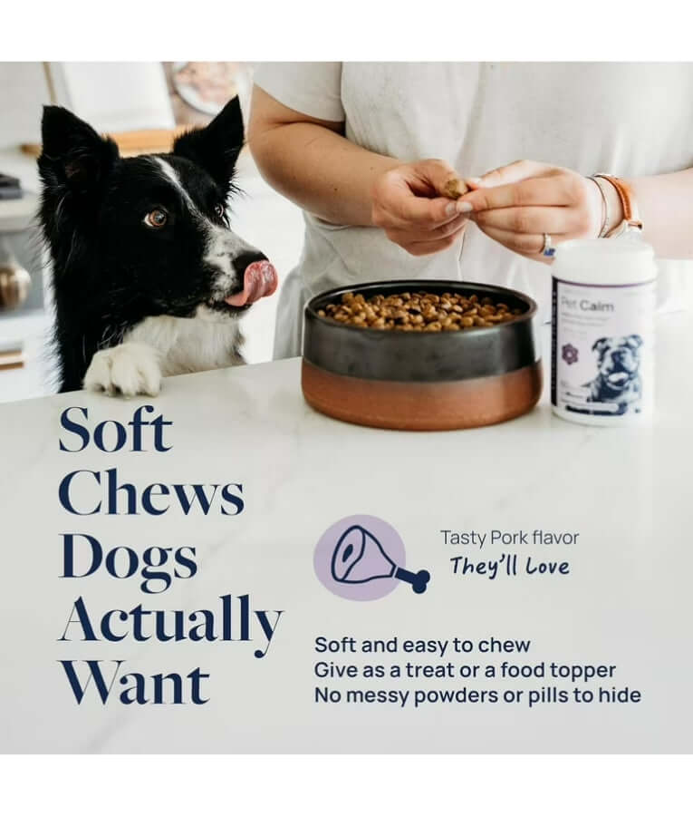 Synergy Labs - Pet Calm Soft Chews, L-Theanine & L-Tryptophan for Stress Relief, Dogs - 60 Soft Chews