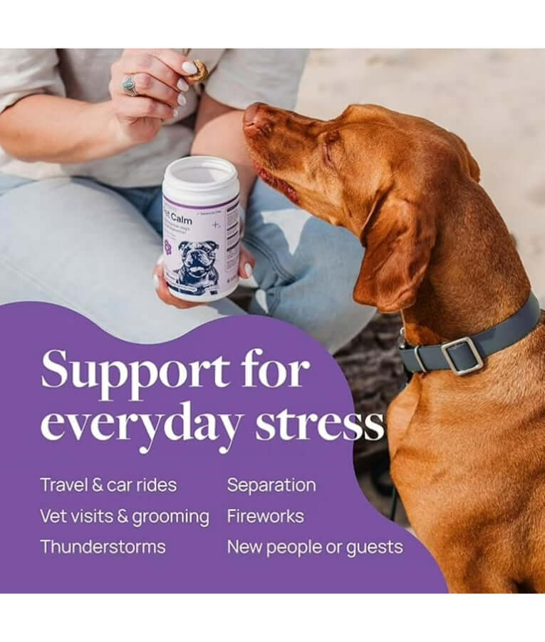 Synergy Labs - Pet Calm Soft Chews, L-Theanine & L-Tryptophan for Stress Relief, Dogs - 60 Soft Chews