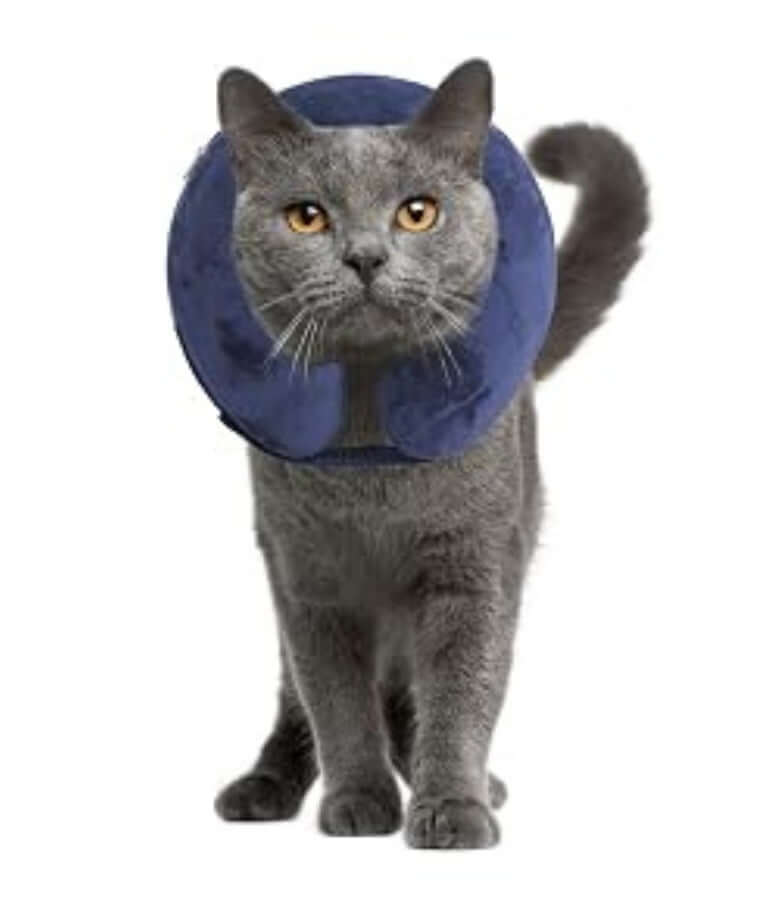 Pawise - Inflatable Protective Collar, Soft Plush Adjustable Recovery Collar, For Dogs & Cats - S, M, L