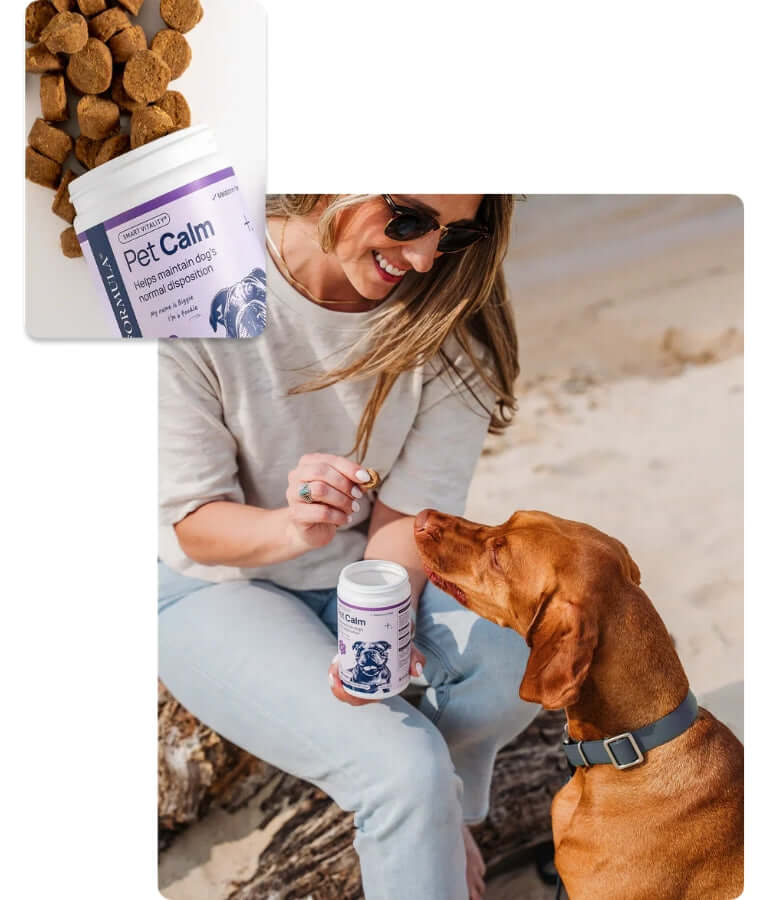 Synergy Labs - Pet Calm Soft Chews, L-Theanine & L-Tryptophan for Stress Relief, Dogs - 60 Soft Chews