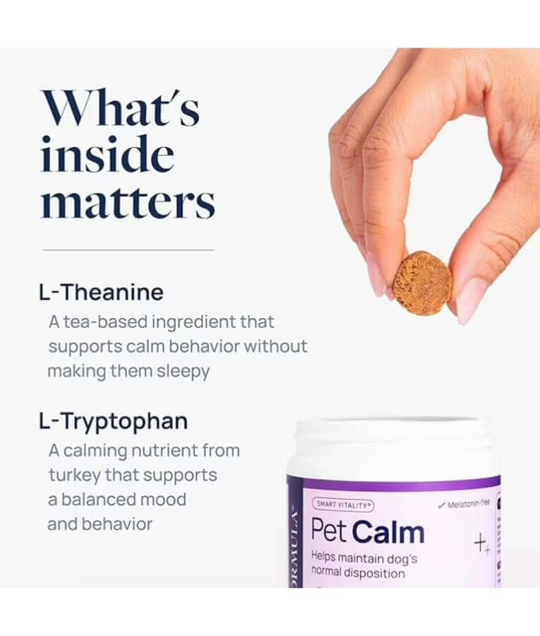 Synergy Labs - Pet Calm Soft Chews, L-Theanine & L-Tryptophan for Stress Relief, Dogs - 60 Soft Chews