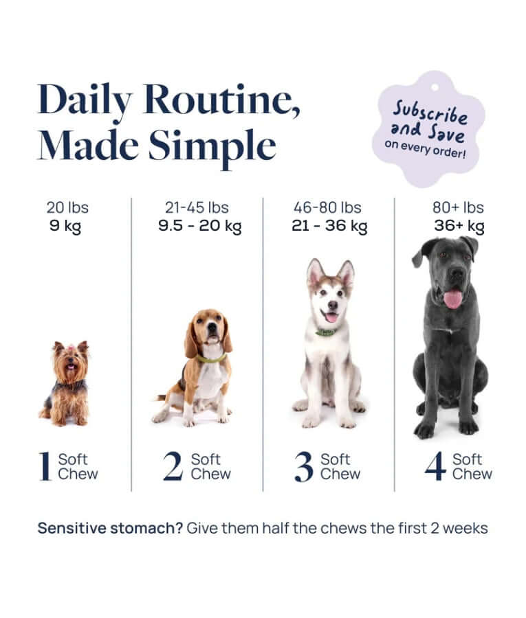 Synergy Labs - Pet Calm Soft Chews, L-Theanine & L-Tryptophan for Stress Relief, Dogs - 60 Soft Chews