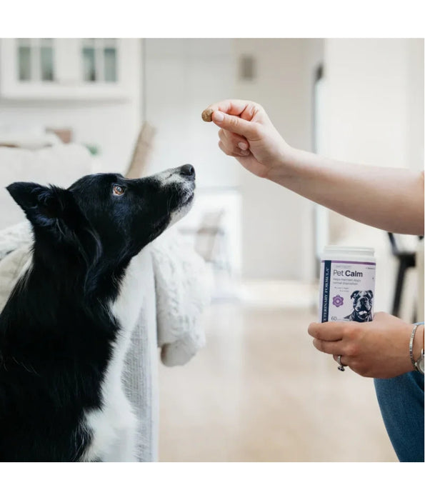 Synergy Labs - Pet Calm Soft Chews, L-Theanine & L-Tryptophan for Stress Relief, Dogs - 60 Soft Chews
