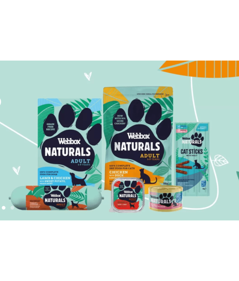 Webbox Naturals Adult Beef Pate Wet Dog Food 150g
