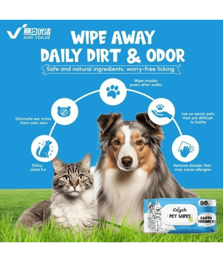Caych - Pet Wipes, Plant-Based Aloe Vera Hypoallergenic & Alcohol-Free Cleansing Wipes, For Dogs & Cats - 80 Sheets