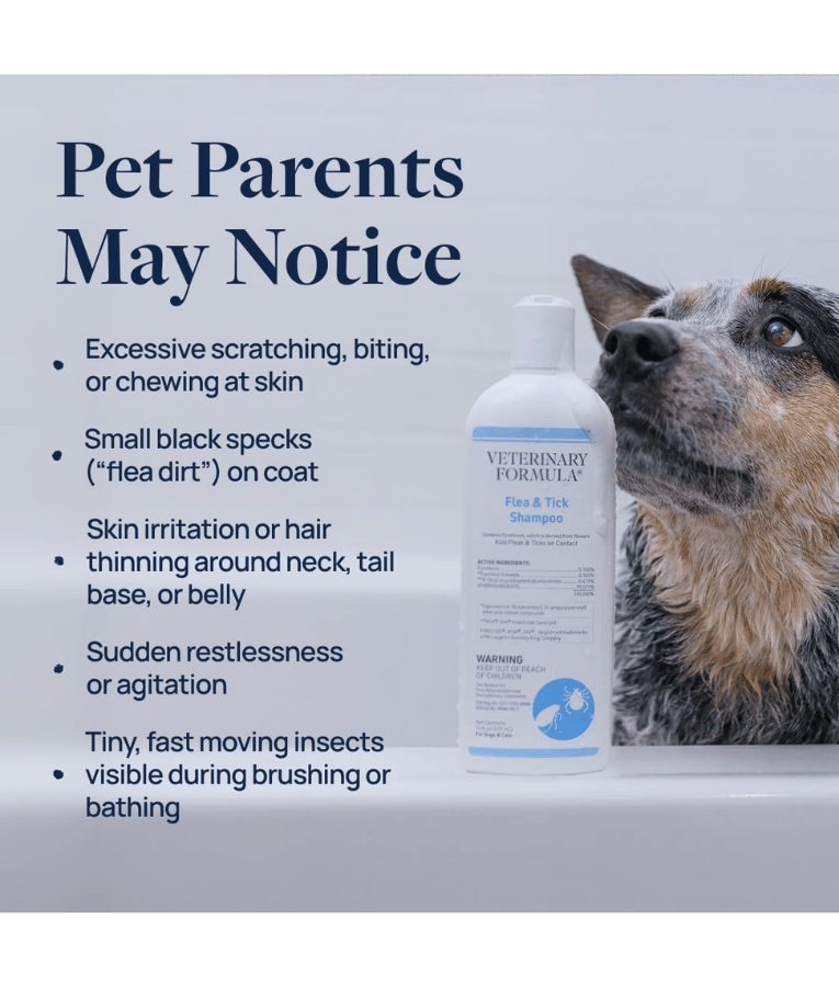 Synergy Labs - Veterinary Formula, Clinical Care, Flea & Tick Shampoo With Pyrethrum, Citrus Scent, For Dogs & Cats - 473 ml