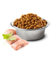 High protein cat food in a bowl with fresh fish pieces and herbs, ideal for nourishing adult cats.