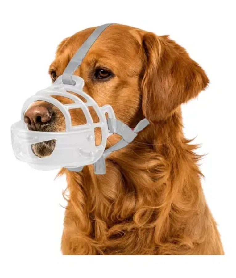 Pawise - Basket Muzzle, Adjustable Plastic With Padded Straps, Transparent & Black, For Dogs - L