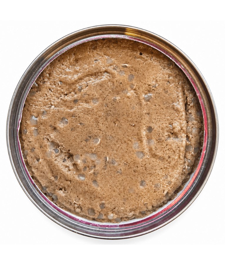 Farmina - N&D Quinoa Skin & Coat Venison & Coconut, Limited Ingredient, Omega Rich, Adult All Breed Sizes Wet Dog Food - 285 g