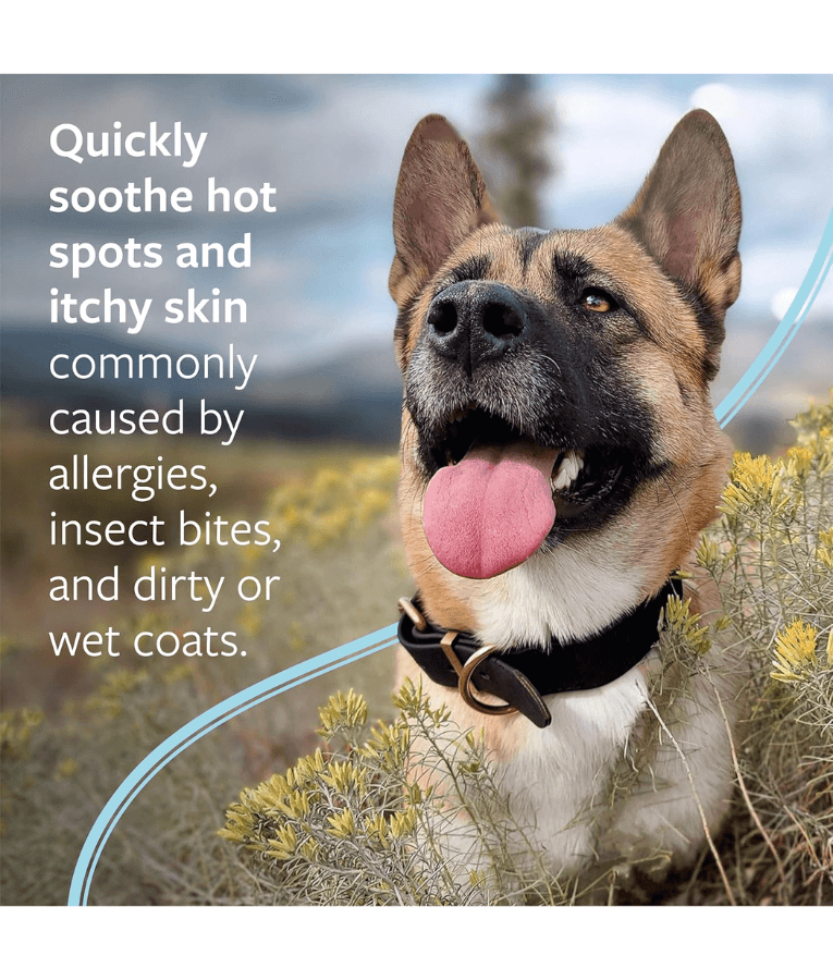 Synergy Labs - Veterinary Formula Clinical Care - Hot Spot & Itch Relief Medicated Shampoo, Lidocaine, Hydrocortisone & Colloidal Oatmeal, For Dogs & Cats - 473 mL