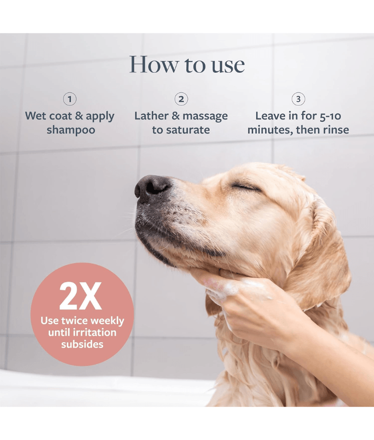 Synergy Labs - Veterinary Formula Clinical Care - Hot Spot & Itch Relief Medicated Shampoo, Lidocaine, Hydrocortisone & Colloidal Oatmeal, For Dogs & Cats - 473 mL