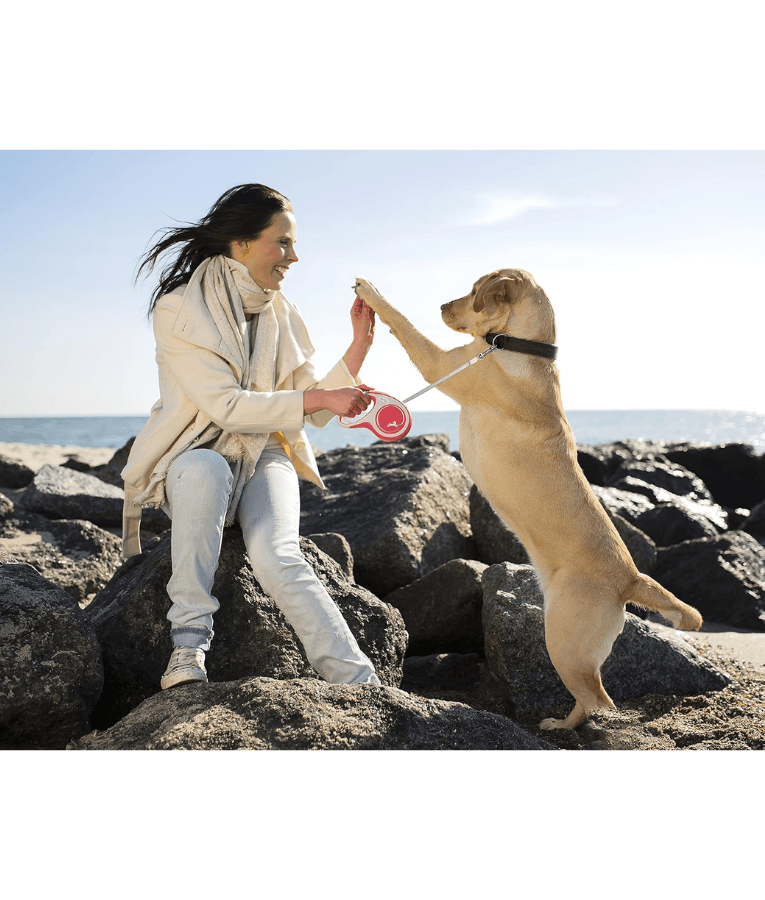Flexi - New Comfort Tape Retractable Leash - 5m Tape - Medium Dogs up to 25kg - Red