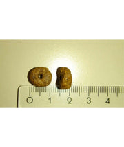 High quality cat food kibble pieces next to a ruler for size reference, showcasing natural cat food ingredients.