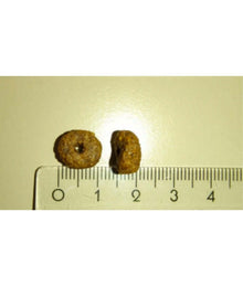 High quality cat food kibble pieces next to a ruler for size reference, showcasing natural cat food ingredients.