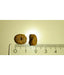 High quality cat food kibble pieces next to a ruler for size reference, showcasing natural cat food ingredients.