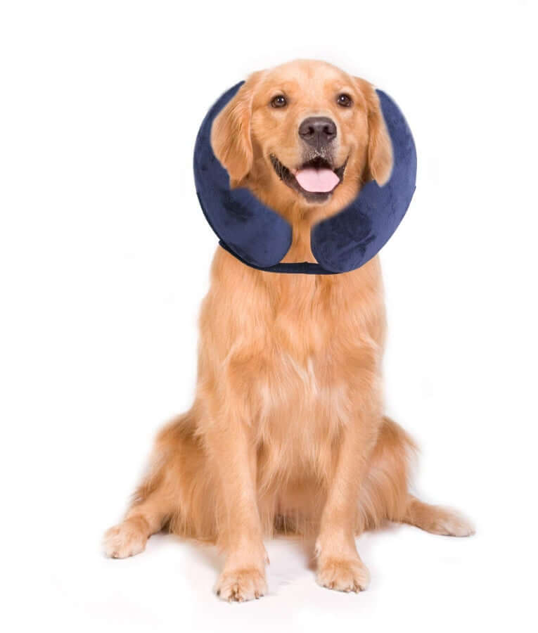 Pawise - Inflatable Protective Collar, Soft Plush Adjustable Recovery Collar, For Dogs & Cats - S, M, L