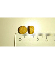 Close-up of dry cat food for sensitive cats, showcasing the kibble size next to a ruler for scale.