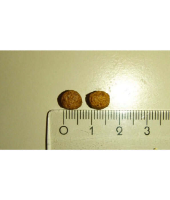 High quality kitten food kibble pieces next to a ruler for size comparison.