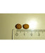 High quality kitten food kibble pieces next to a ruler for size comparison.