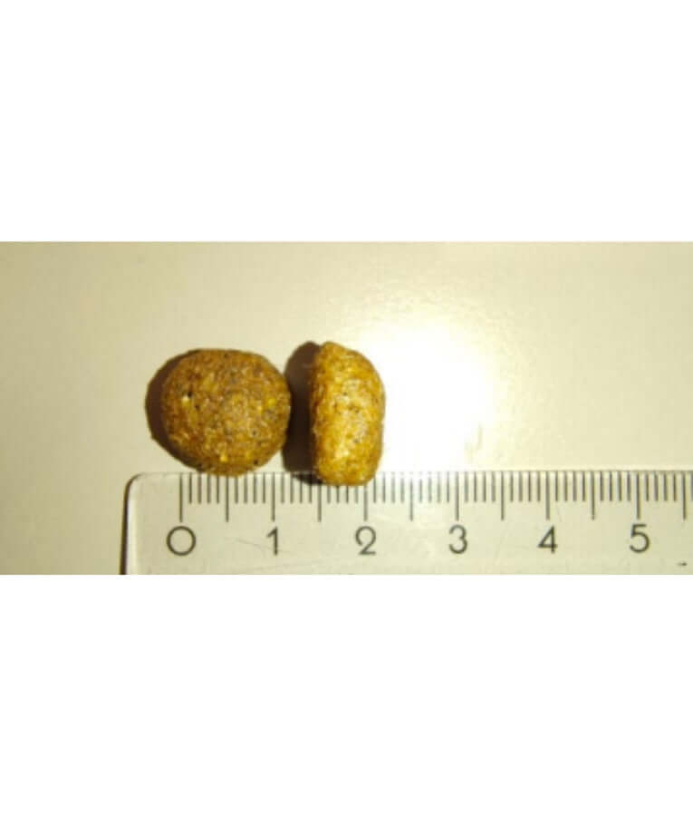 Meglium high quality dog food kibble shown beside a ruler for size comparison